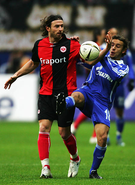 适应能力 适应能力